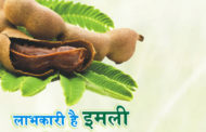 लाभकारी है इमली का नियमित सेवन