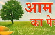 आम का पेड़