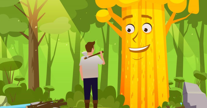 सुई का पेड़